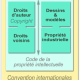 Propriété intellectuelle — Wikipédia