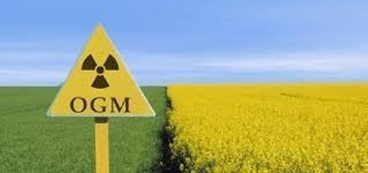 OGM Danger