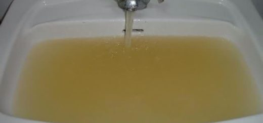 eau du robinet