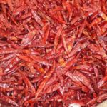 Ifelfel azeggagh – piment rouge séché au soleil